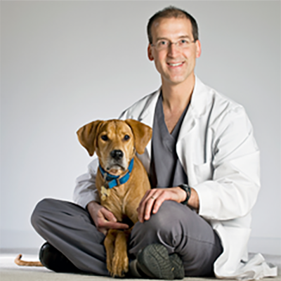 Pet Surgery