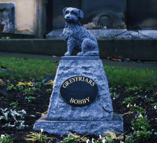 Pets Memory Pic of Graveyard